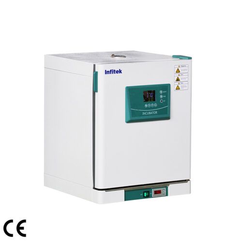 ICB-P Series, Constant Temperature Incubator