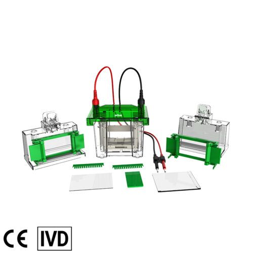 GEP-VH-1 Mini Vertical Electrophoresis Tank