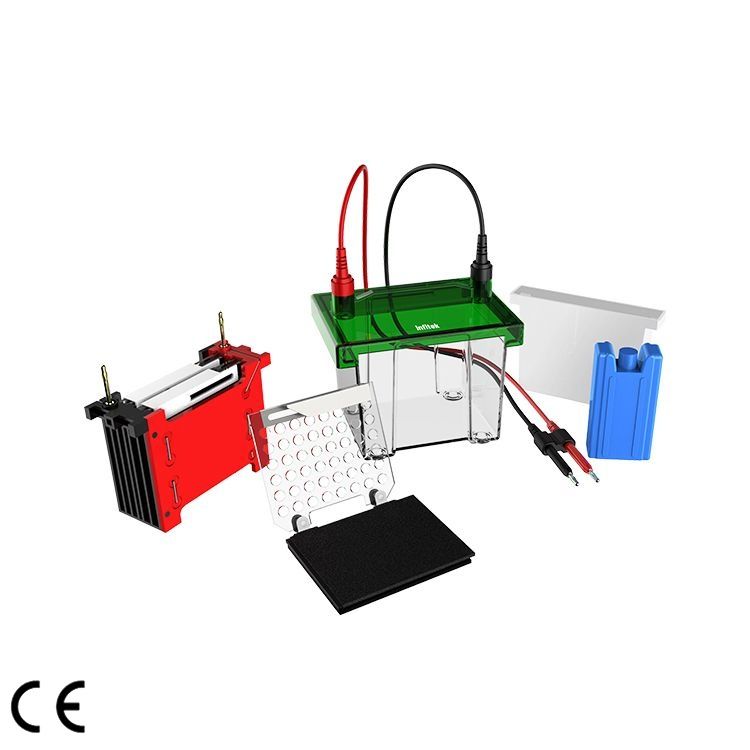 Mini Transfer Electrophoresis Tank, GEP-TH-ZY02