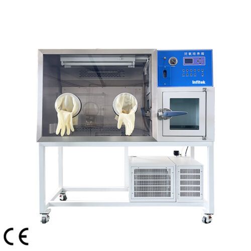 Anaerobic Incubator, ICB-AN-HYQIII-Z